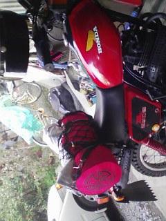 �L�����v������������h�g�L�������S