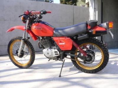 よっし〜さんの500S、21インチのゴールドリム