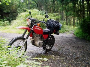 林道赤沢線での２５０Sの画像