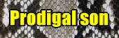 Prodigal son�o�i�[